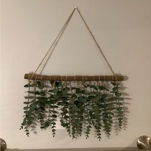 Green eucalyptus hanging plant decor